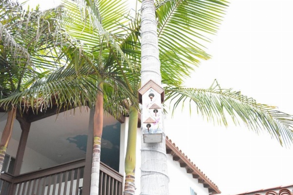 Sunset Motel image 8