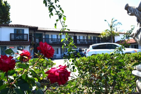 Sunset Motel image 9